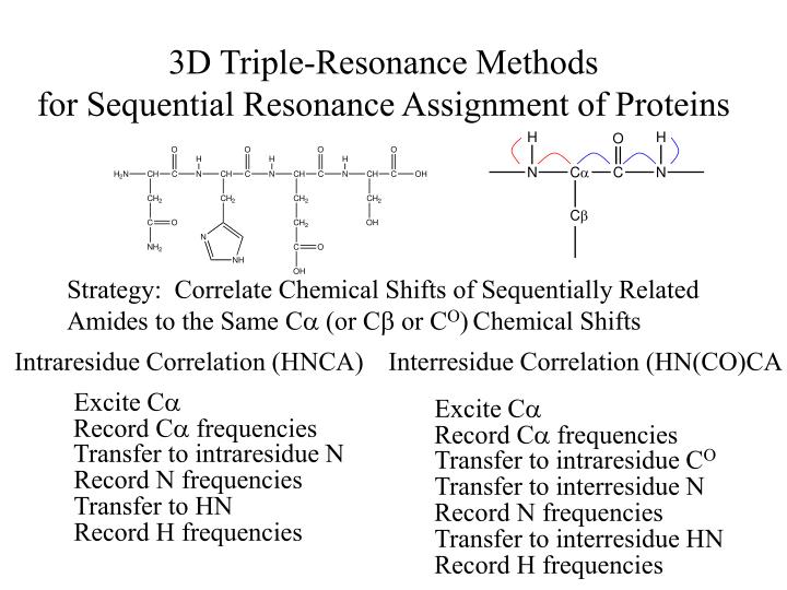 3d triple resonance methods for sequential resonance assignment of proteins