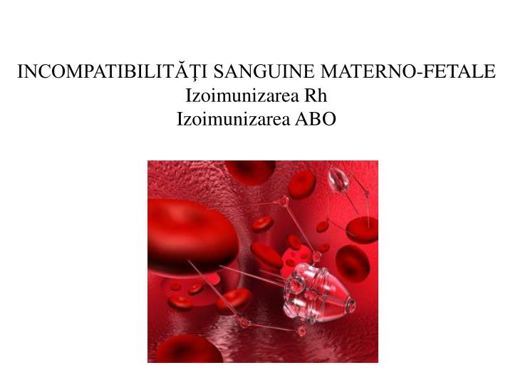 incompatibilit i sanguine materno fetale izoimunizarea rh izoimunizarea abo