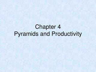 Chapter 4 Pyramids and Productivity
