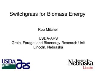 Switchgrass for Biomass Energy
