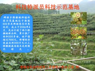 500 2006 4 500 7000 300