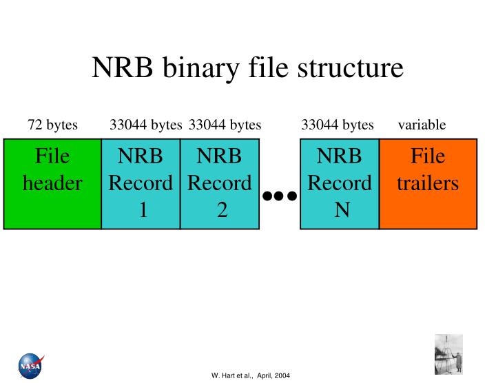 nrb binary file structure