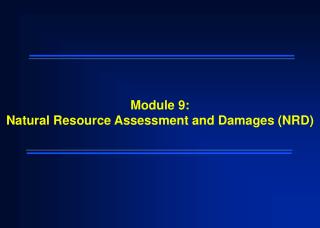 Module 9: Natural Resource Assessment and Damages (NRD)