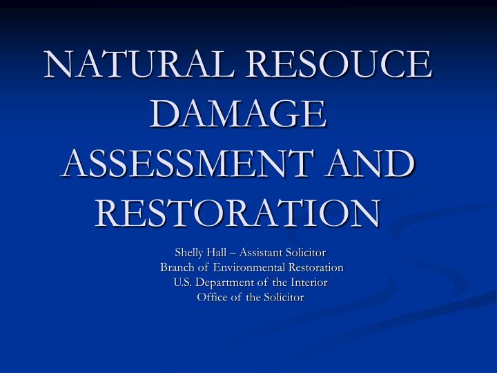 natural resouce damage assessment and restoration