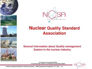 Nuclear Quality Standard Association