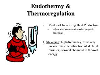 Endothermy &amp; Thermoregulation