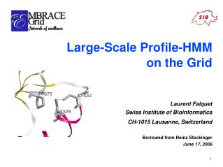 Large-Scale Profile-HMM on the Grid Laurent Falquet Swiss Institute of Bioinformatics