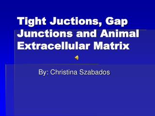 Tight Juctions, Gap Junctions and Animal Extracellular Matrix