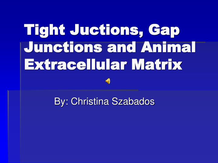 tight juctions gap junctions and animal extracellular matrix