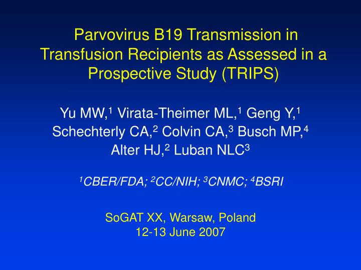 parvovirus b19 transmission in transfusion recipients as assessed in a prospective study trips