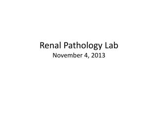 Renal Pathology Lab November 4, 2013