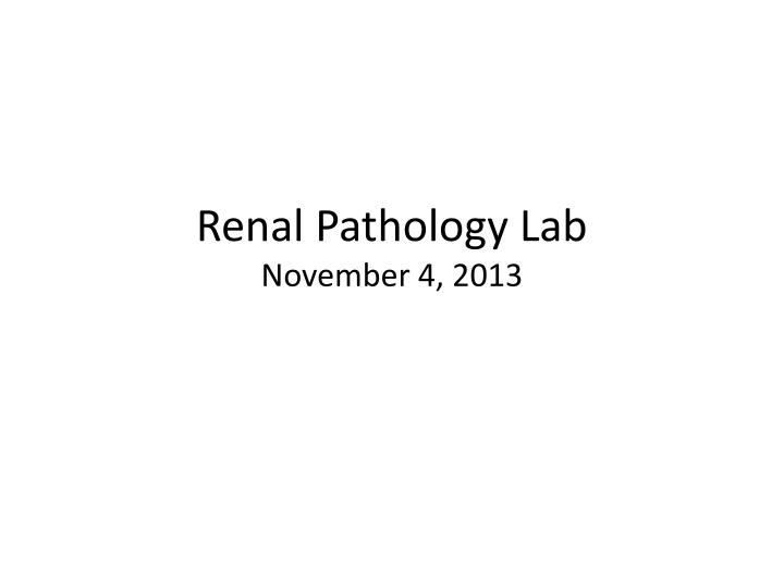renal pathology lab november 4 2013