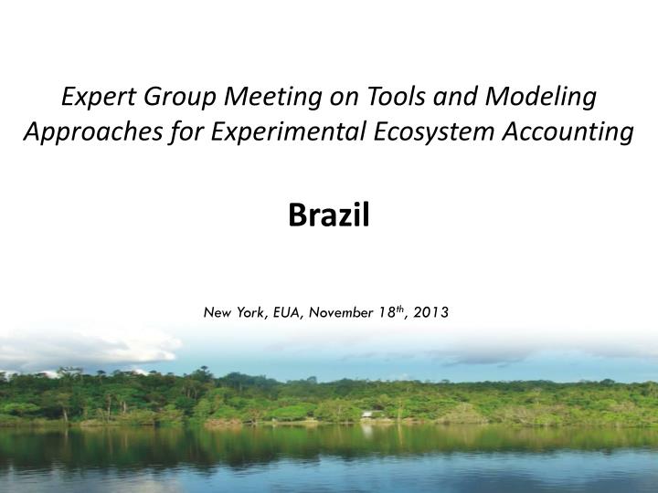 expert group meeting on tools and modeling approaches for experimental ecosystem accounting brazil