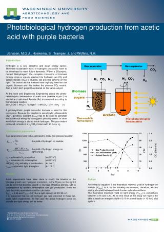 Janssen, M.G.J., Hoekema, S., Tramper, J. and Wijffels, R.H.