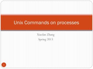 Unix Commands on processes