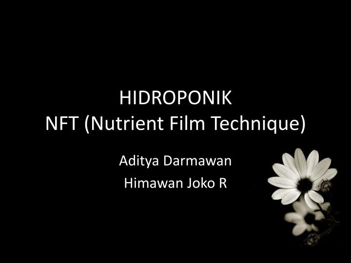 hidroponik nft nutrient film technique