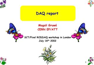 DAQ report