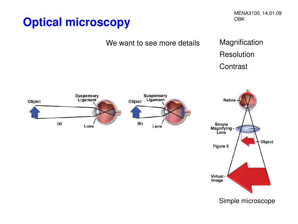 PPT - Optical microscopy PowerPoint Presentation, free download - ID ...
