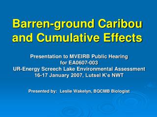 Barren-ground Caribou and Cumulative Effects