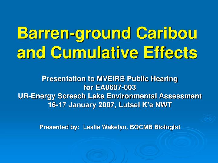 barren ground caribou and cumulative effects