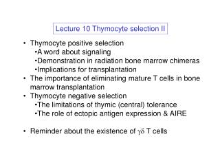 Lecture 10 Thymocyte selection II