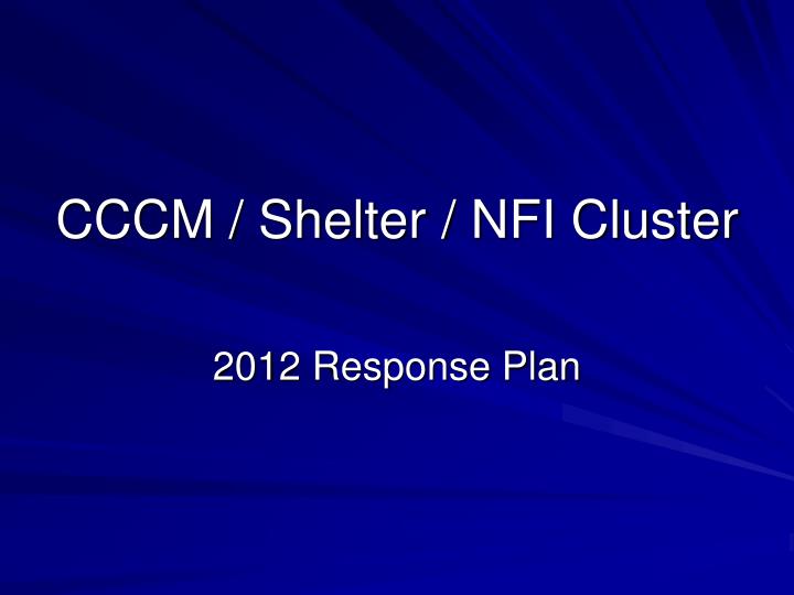 cccm shelter nfi cluster
