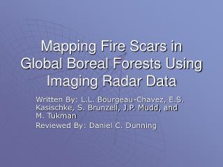 Mapping Fire Scars in Global Boreal Forests Using Imaging Radar Data