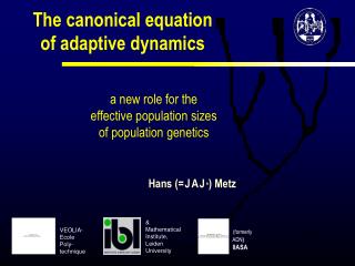 The canonical equation of adaptive dynamics
