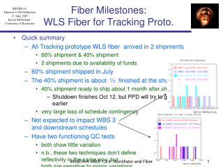 Fiber Milestones: WLS Fiber for Tracking Proto.