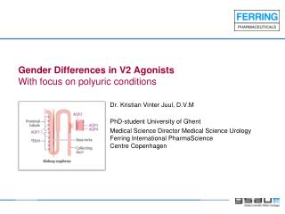 Gender Differences in V2 Agonists With focus on polyuric conditions