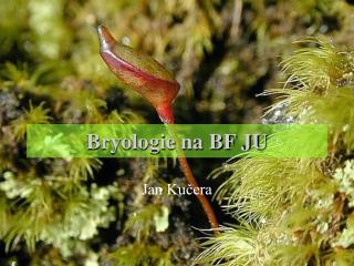 bryologie na bf ju