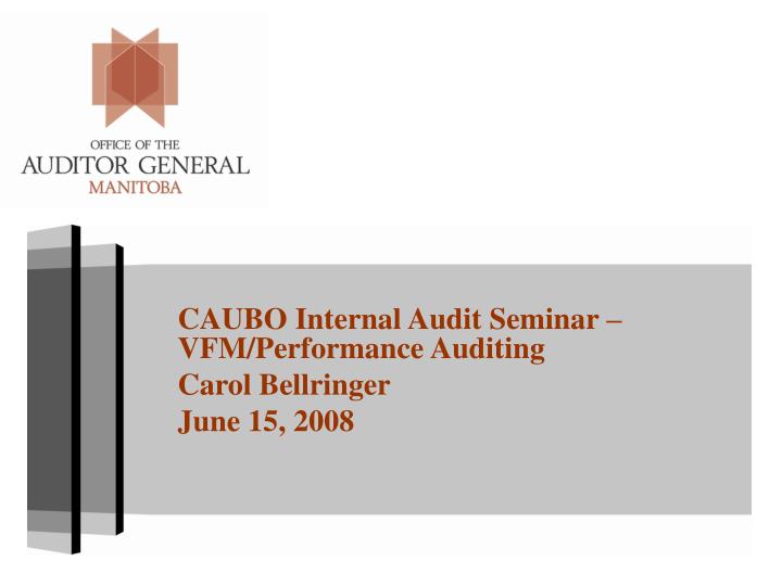 caubo internal audit seminar vfm performance auditing carol bellringer june 15 2008