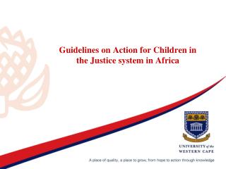 Guidelines on Action for Children in the Justice system in Africa