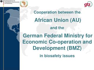 Cooperation between the African Union (AU) and the