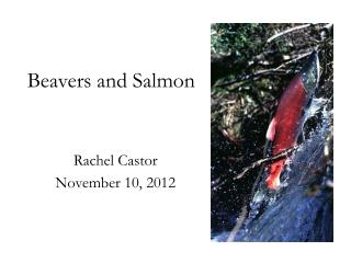 Beavers and Salmon