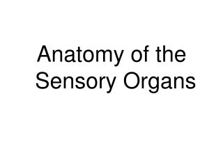 Anatomy of the Sensory Organs