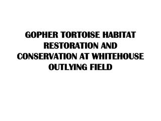 GOPHER TORTOISE HABITAT RESTORATION AND CONSERVATION AT WHITEHOUSE OUTLYING FIELD