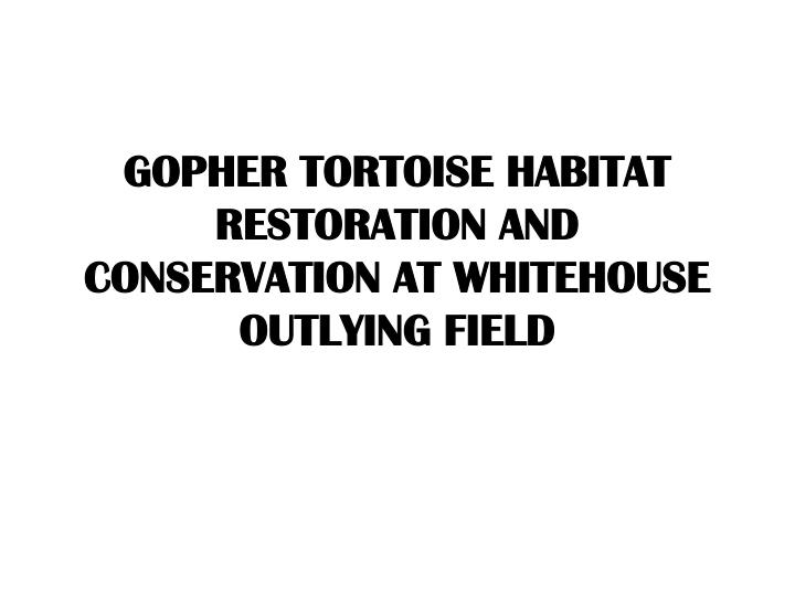 gopher tortoise habitat restoration and conservation at whitehouse outlying field