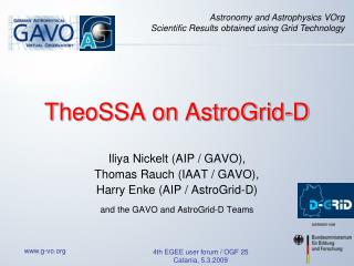 TheoSSA on AstroGrid-D