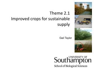 Theme 2.1 Improved crops for sustainable supply