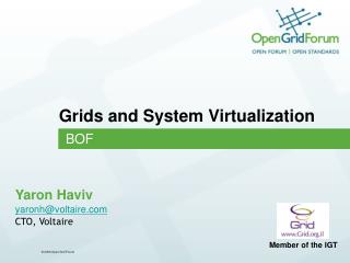 Grids and System Virtualization