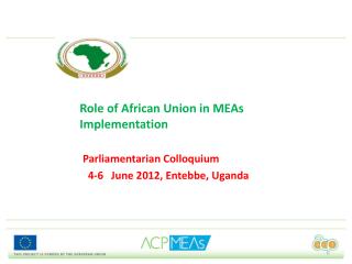 Role of African Union in MEAs Implementation