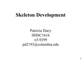Skeleton Development Patricia Ducy HHSC1616 x5-9299 pd2193@columbia