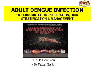 ADULT DENGUE INFECTION 1ST ENCOUNTER: IDENTIFICATION, RISK STRATIFICATION &amp; MANAGEMENT