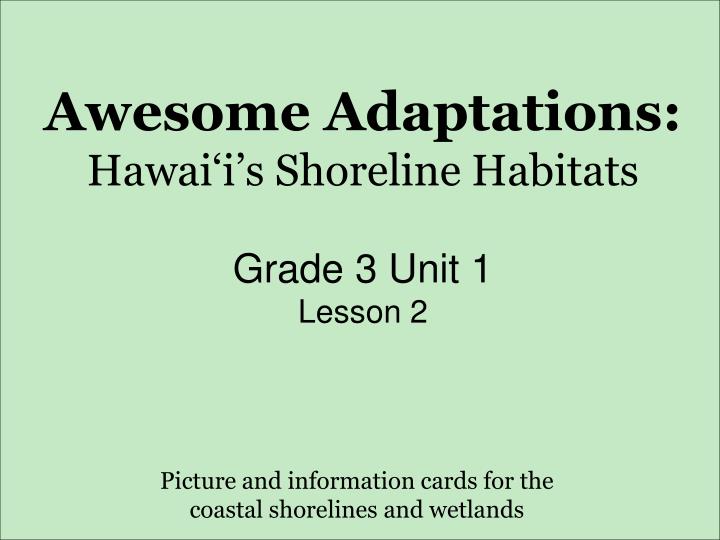 awesome adaptations hawai i s shoreline habitats grade 3 unit 1 lesson 2