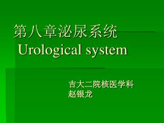 第八章泌尿系统 Urological system