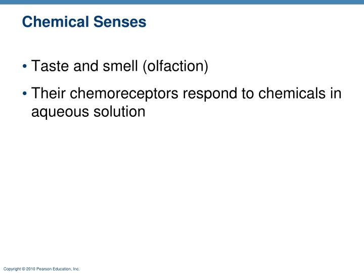 chemical senses