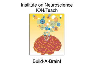 Institute on Neuroscience ION/Teach