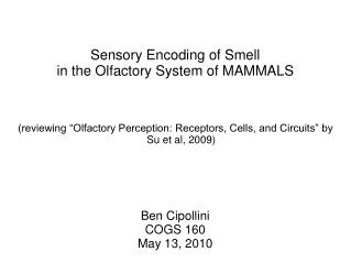 Sensory Encoding of Smell in the Olfactory System of MAMMALS