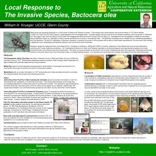 The Invasive Species, Bactocera olea